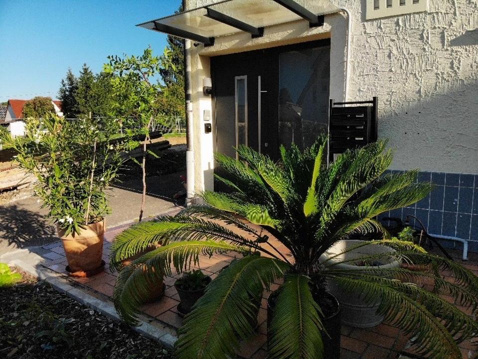Sonnige 3 Zimmer Wohnung Mit Schoenem Balkon Im Gruenen Ройтлінген Екстер'єр фото